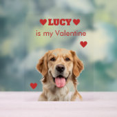 Custom Dog Photo Acrylic Sign Acryl Bord (Neutraal)