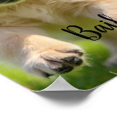 Custom Dog Photo Poster with Name Wall Art (Hoek)