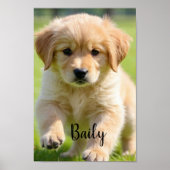 Custom Dog Photo Poster with Name Wall Art (Voorkant)