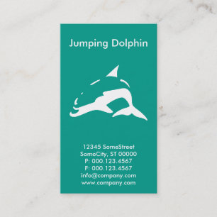 Custom Dolphin Company Visitekaartje
