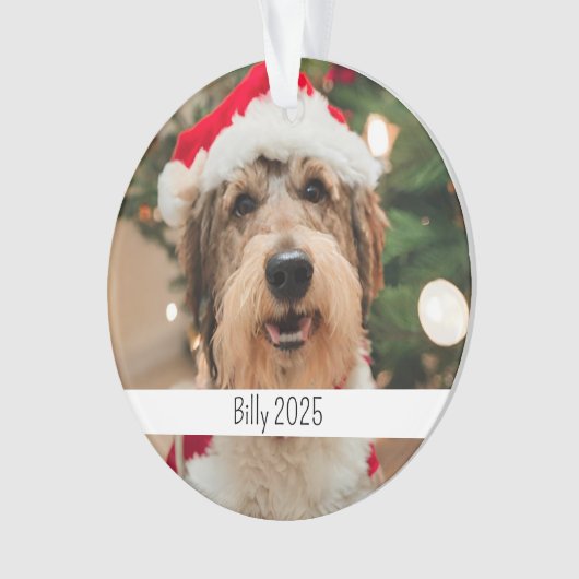 Custom Double Sided Dog Pet Christmas (devant)