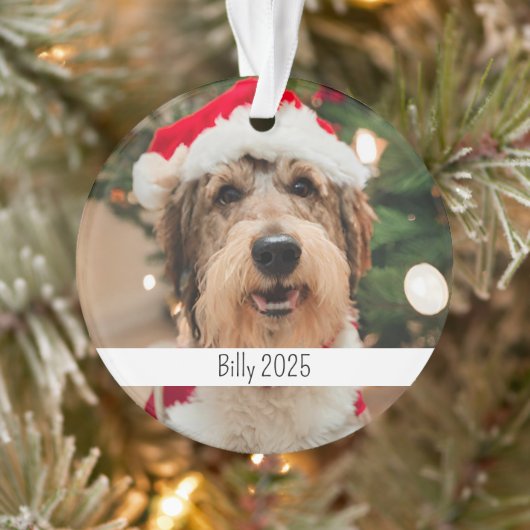 Custom Double Sided Dog Pet Christmas Ornament (Boom)
