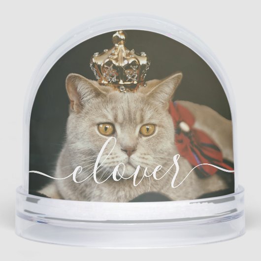 Custom Elegant Script Modern 2 Photo Pet Cat (Avant)