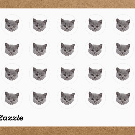 Custom Face Stickers Personalized Cat Face Photo