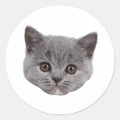 Custom Face Stickers Personalized Cat Face Photo (Devant)