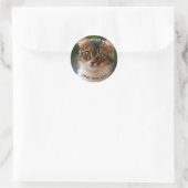 Custom Fluffy Kitten met Groene Ogen Ronde Sticker (Tas)