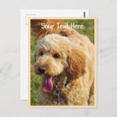 Custom Goldendole Dog Briefkaart (Voorkant / Achterkant)