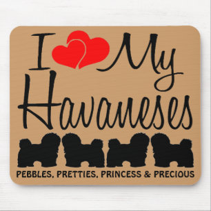 Custom Ik hou van mijn vier Havaneses Muismat