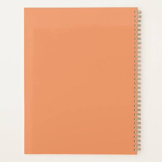 Custom Instructional Coach Educational Coach Retro Planner (Achterkant)