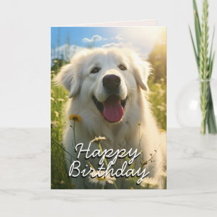 Custom Maremma Sheepdog Verjaardag Kaart