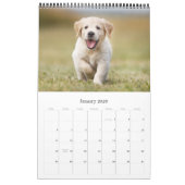 Custom Modern Photo Family Dog Pet Creëer Uw Eigen Kalender (Jan 2026)