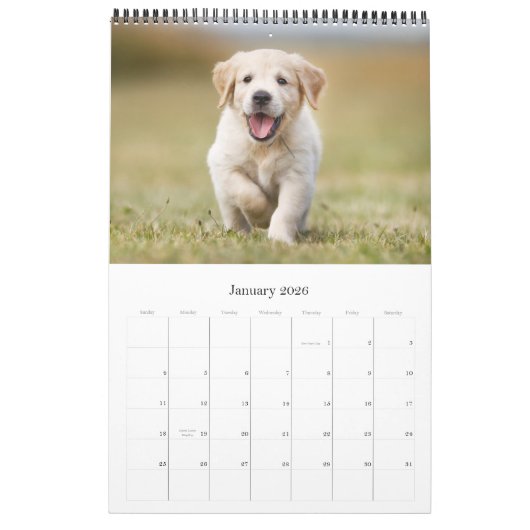 Custom Modern Photo Family Dog Pet Creëer Uw Eigen Kalender (Jan 2026)