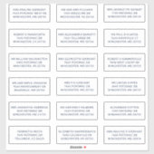 Custom Name 18 Shipping Large Address Labels (Vel)