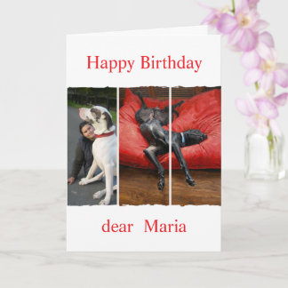 Custom pet (dog) photo and message kaart
