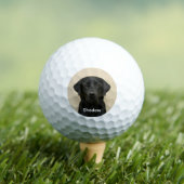 Custom Pet Dog Photo Black Labrador Personalized Golfballen (Insitu Shirt)