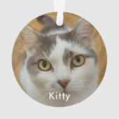 Custom Pet Family Photo Texte Noël (dos)