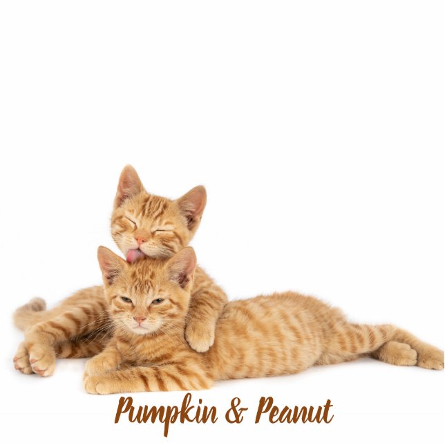 Custom Pet Keepsake Using Your Photo Name Staand Fotobeeldje (Voorkant)