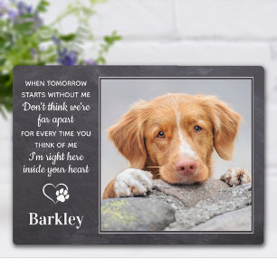 Custom Pet Memorial - Pet Loss Gift - Herdenking Fotoplaat
