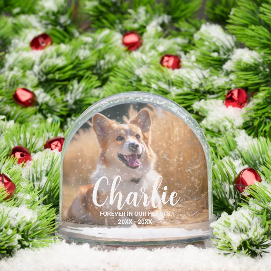 Custom Pet Memorial Photo with Name (Noël)