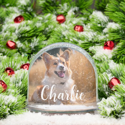 Custom Pet Photo (Noël)