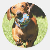 Custom Pet Photo and Text Ronde Sticker (Voorkant)