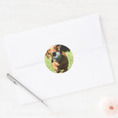 Custom Pet Photo and Text   Ronde Sticker (Envelop)