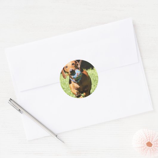 Custom Pet Photo and Text Ronde Sticker (Envelop)