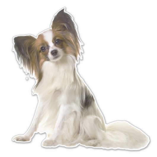 Custom Pet Photo Car Window Vinyl Sticker (Voorkant)