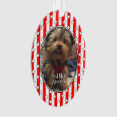 Custom Photo Lijst USA American Flag Patriotic Fun Ornament (voorkant)