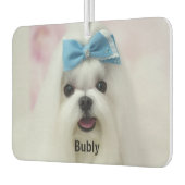 Custom Photo Text Logo Personalized Branding  Luchtverfrisser (Links)