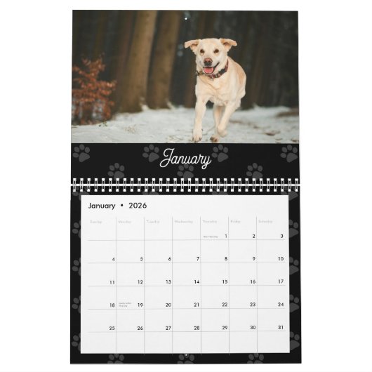 Custom Photos Modern Pet Lovers Dog Calendar Kalender (Jan 2026)