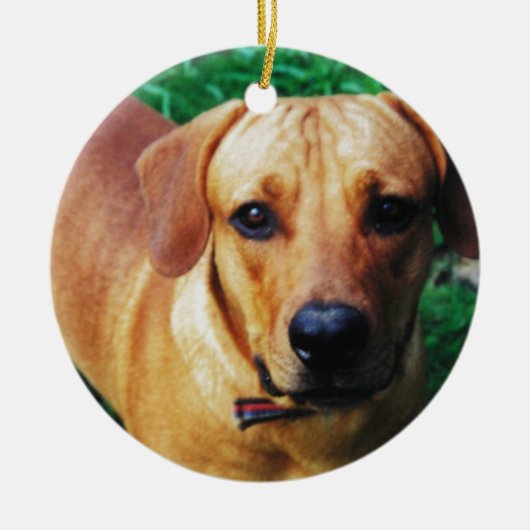 Custom Picture Personalized 2 Sided Photo Keramisch Ornament (Voorkant)