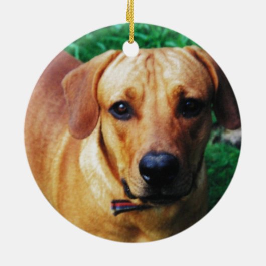 Custom Picture Personalized 2 Sided Photo Keramisch Ornament (Achterkant)