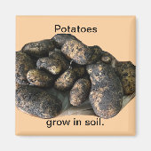 Custom Potato Magnets, harvested Magneet (Voorkant)