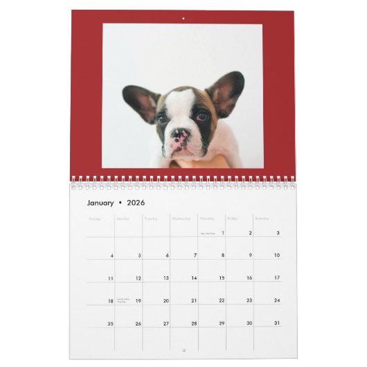 Custom Red Pet Photo Kalender (Jan 2026)