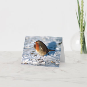 Custom Robin in de sneeuw Feestdagen Kaart