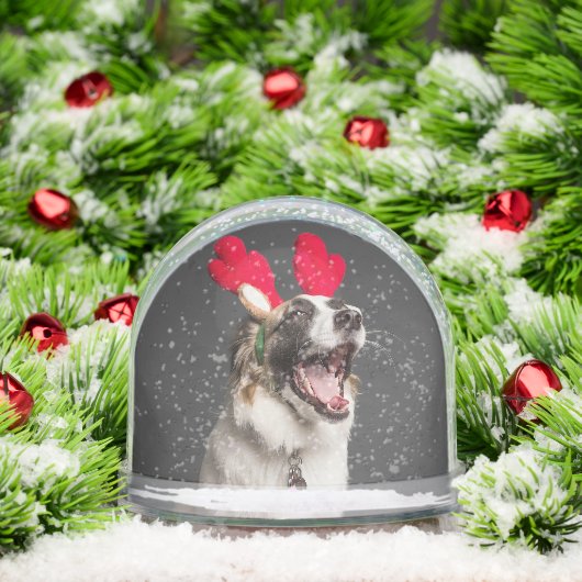 Custom Snow Globe with Your Dog’s Photo (Noël)