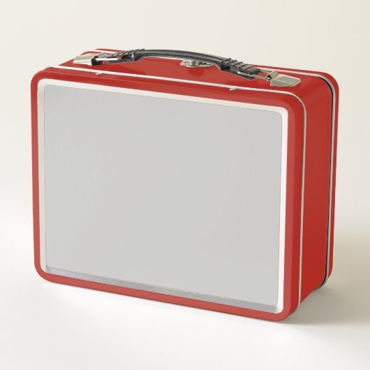 Custom Stainless Steel Lunchbox for School (Dos)