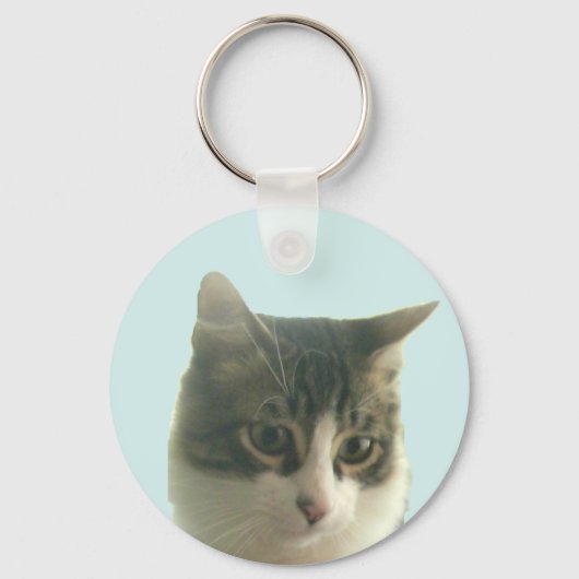 Custom Tabby Cat Photo on Light Blue Sleutelhanger (Achterkant)