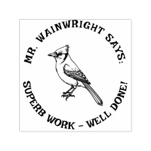 Custom Teacher Blue Jay Stamp Schattige "Superb Wo Zelfinktende Stempel