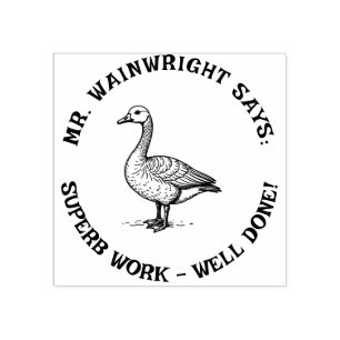 Custom Teacher Goose Stamp Schattige "Superb Work! Rubberstempel