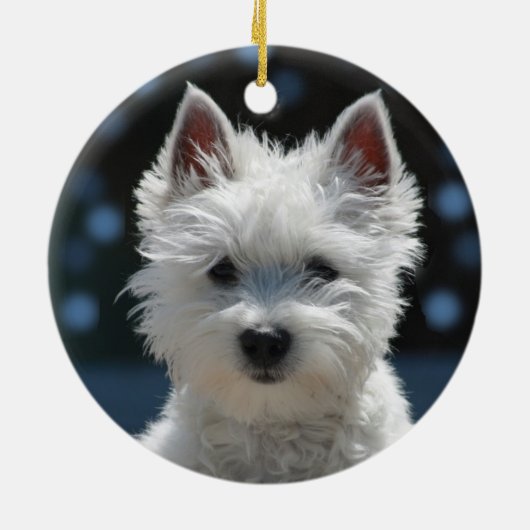 Custom Terrier Puppy Dog Foto Keramisch Ornament (Achterkant)