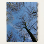 Custom Tree Crown Branches on blue Sky Photo - Planner (Achterkant)