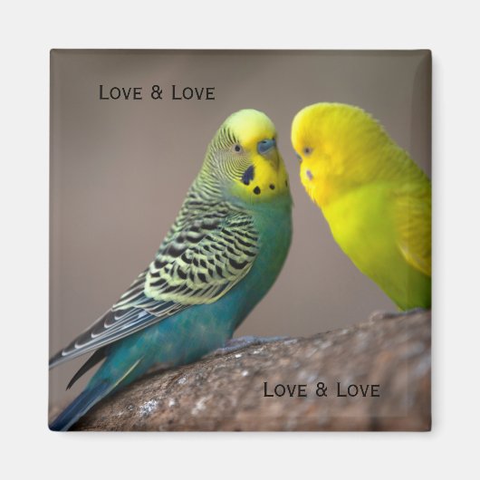 Custom Twee Parrot afbeelding met tekst Loving Mag Magneet (Voorkant)