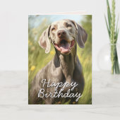 Custom Weimaraner Verjaardag Kaart (Voorkant)