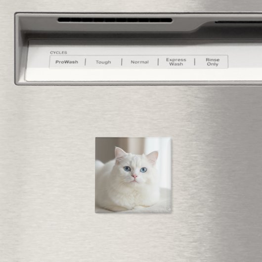 Custom white cat photo magnet for fridge (In Situ (Lave-vaisselle))