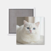 Custom white cat photo magnet for fridge magneet (Voorkant / Achterkant)