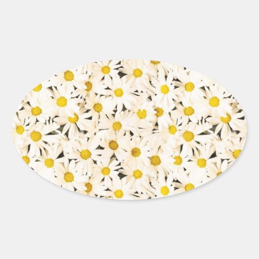 Custom Witte Daisies Blank Elegante Natuur Sjabloo Ovale Sticker (Voorkant)