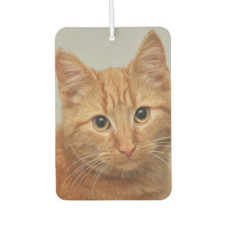 CUSTOM YOUR CAT PHOTO AIR FRESHENER LUCHTVERFRISSER