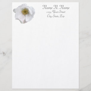 Customisable En-tête de lettre du Rose de la plage blanche
